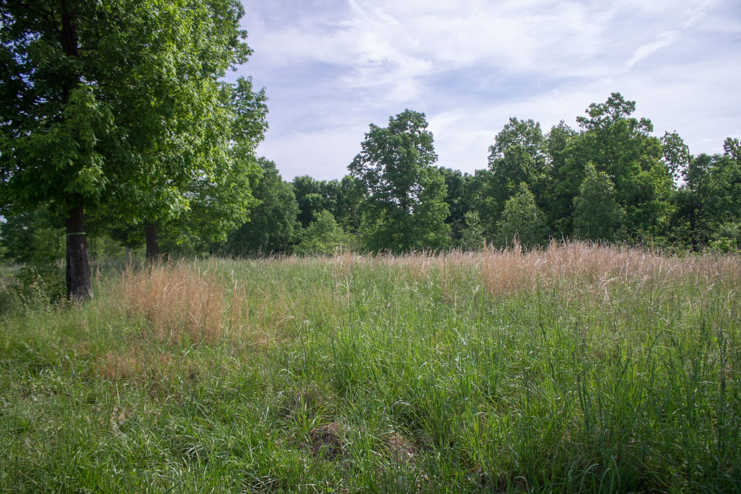 Laurel Ridge Tract 2 photo 10