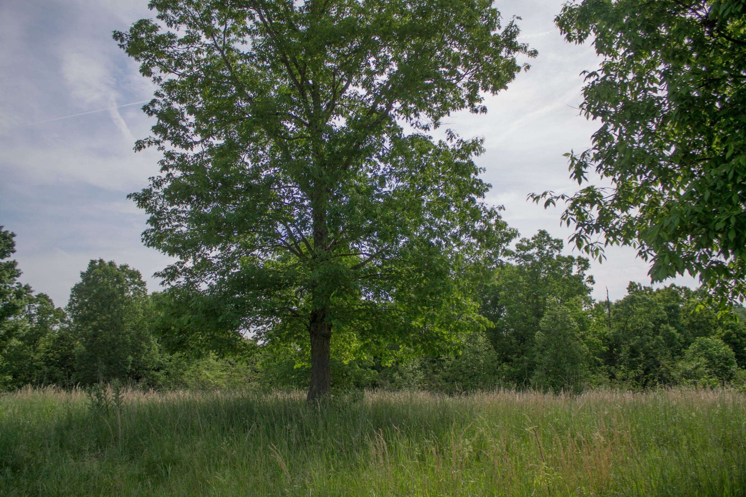 Laurel Ridge Tract 2 photo 13