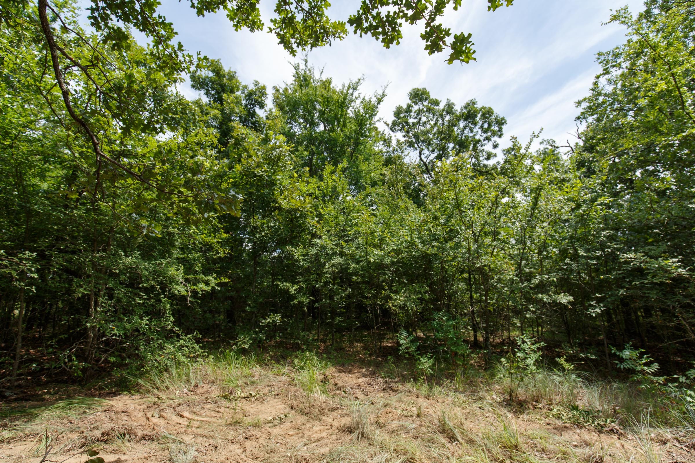 Timber Ridge Tract 27 photo 2