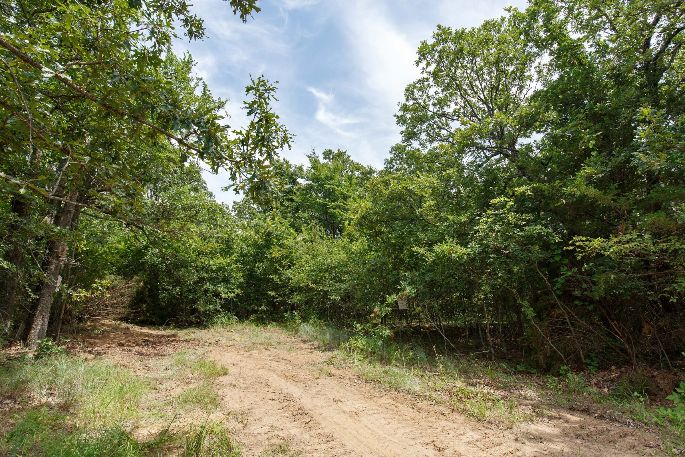 Timber Ridge Tract 27 photo 4