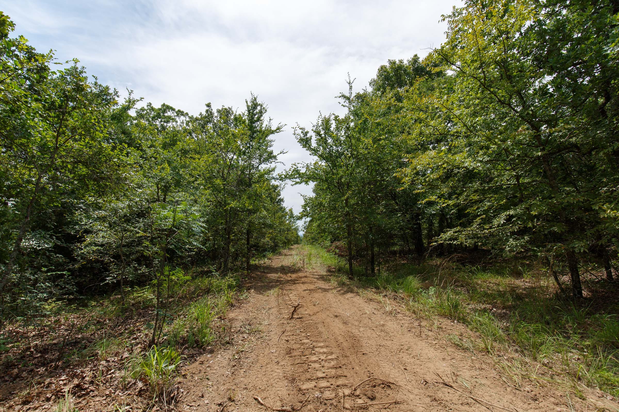 Timber Ridge Tract 27 photo 1