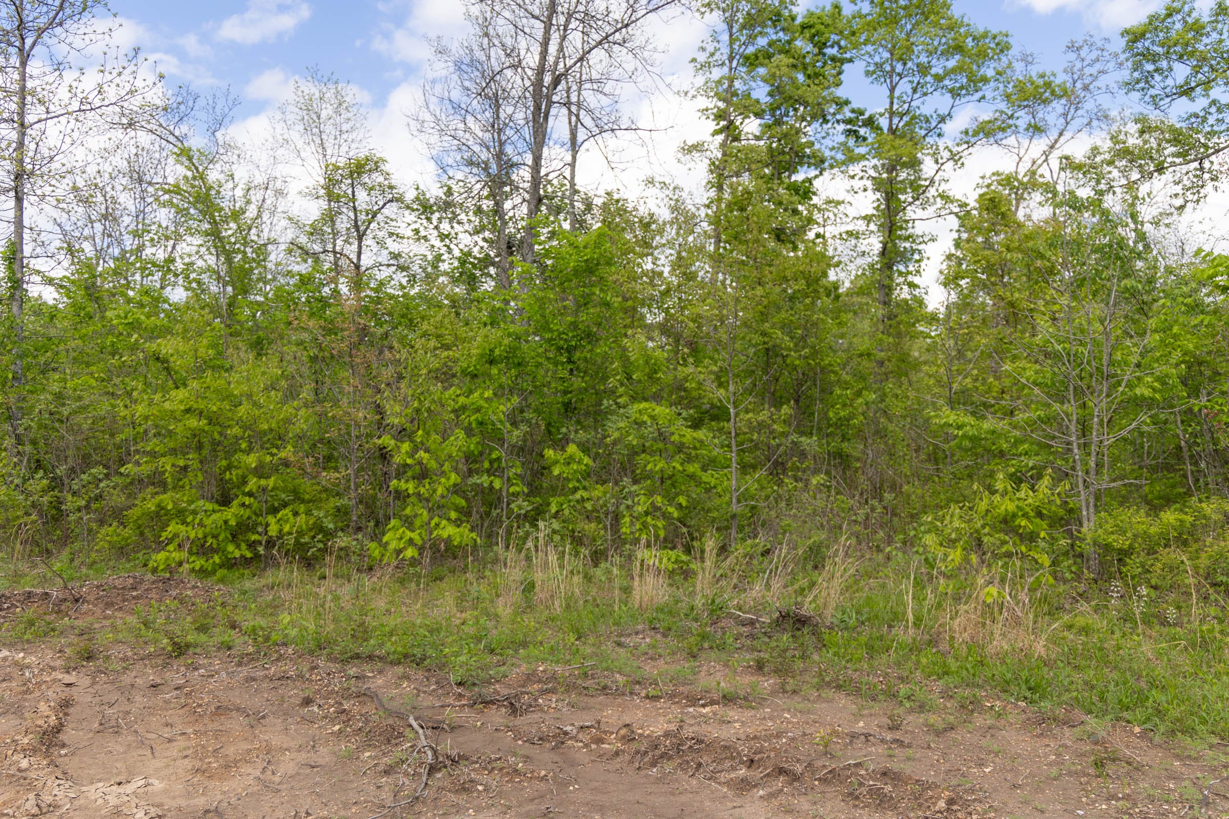 Sleepy Hollow Phase II Tract 106 photo 4