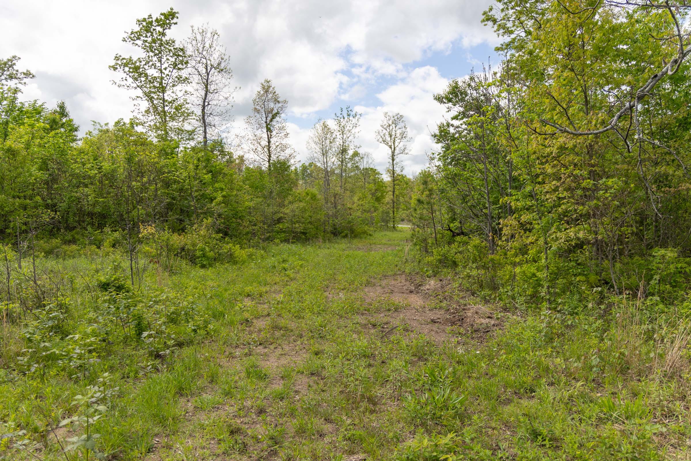 Sleepy Hollow Phase II Tract 106 photo 11