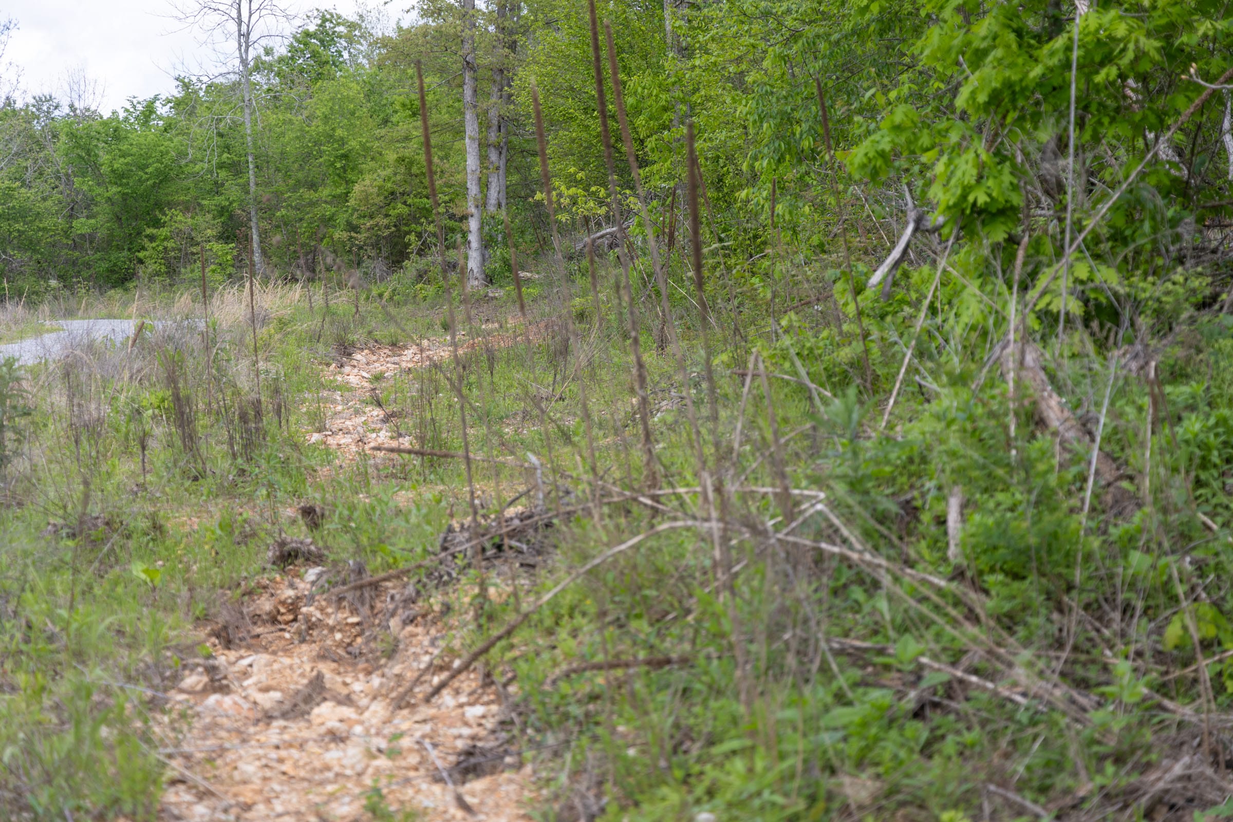 Sleepy Hollow Phase II Tract 106 photo 9