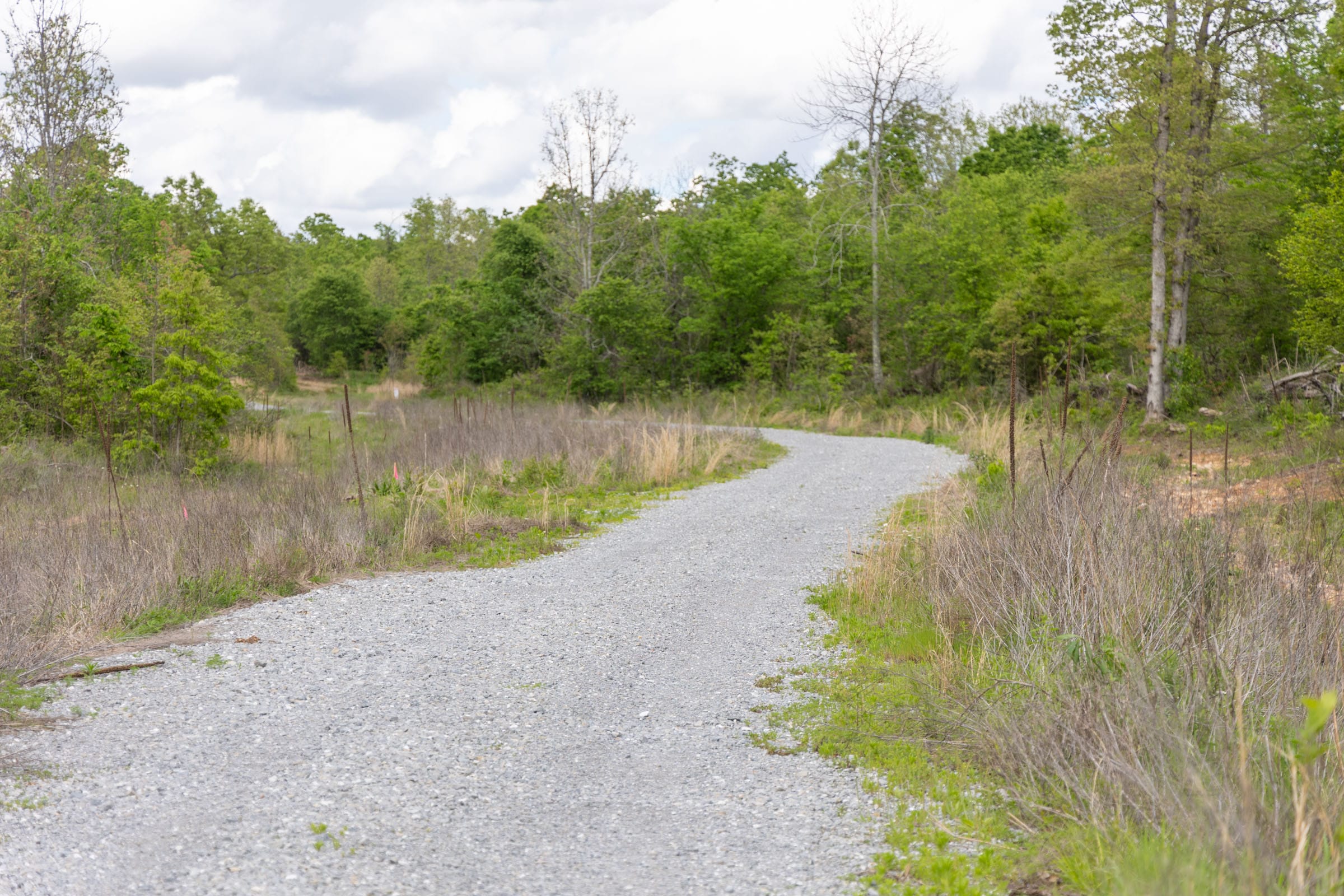 Sleepy Hollow Phase II Tract 106 photo 2