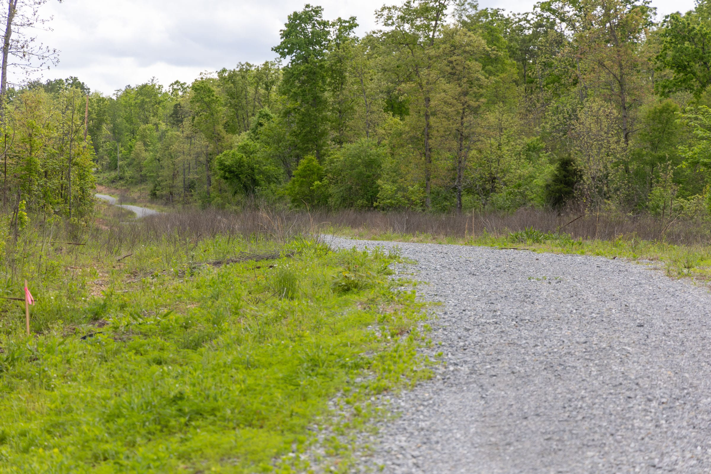 Sleepy Hollow Phase II Tract 106 photo 3