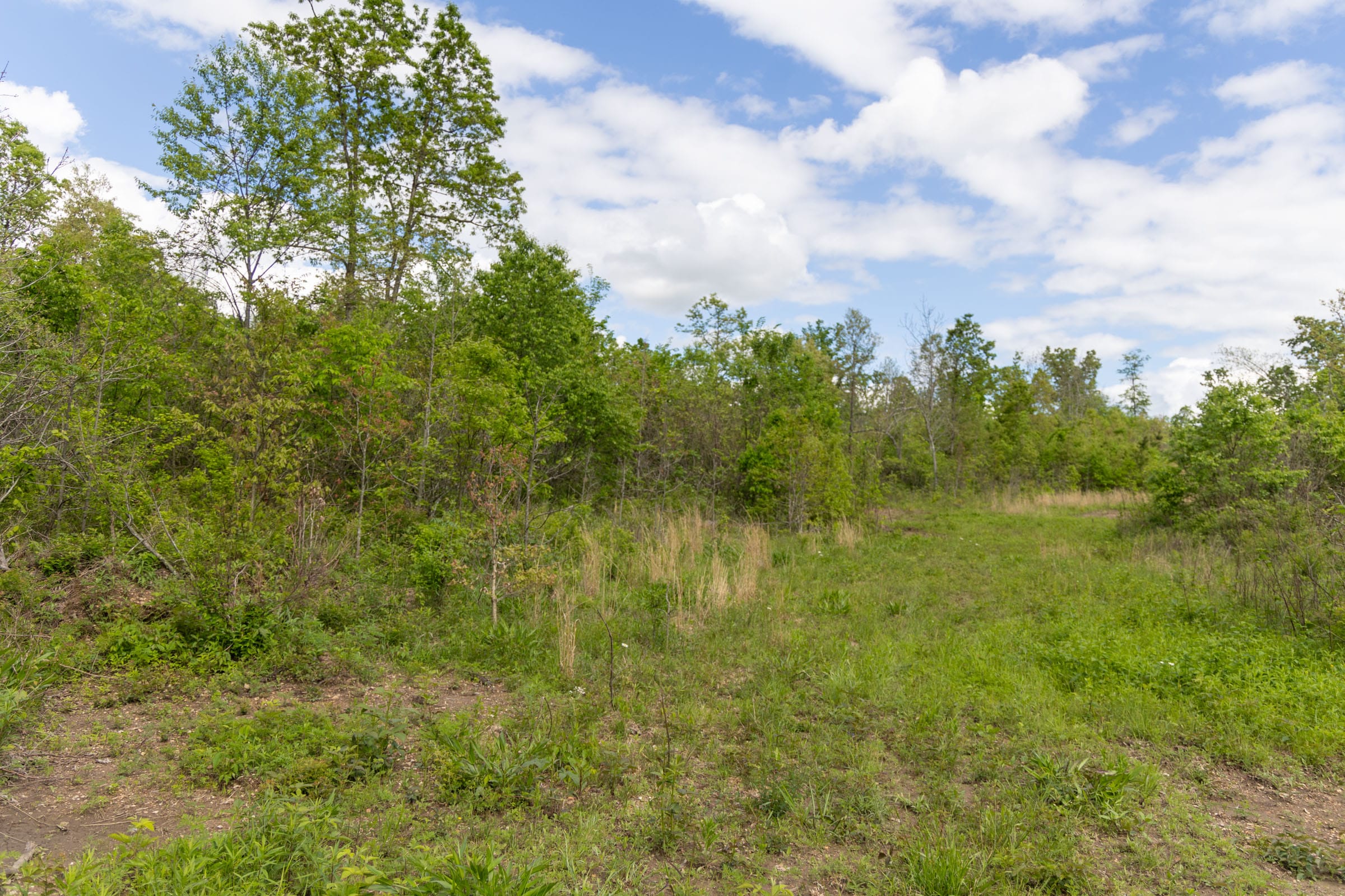 Sleepy Hollow Phase II Tract 106 photo 1