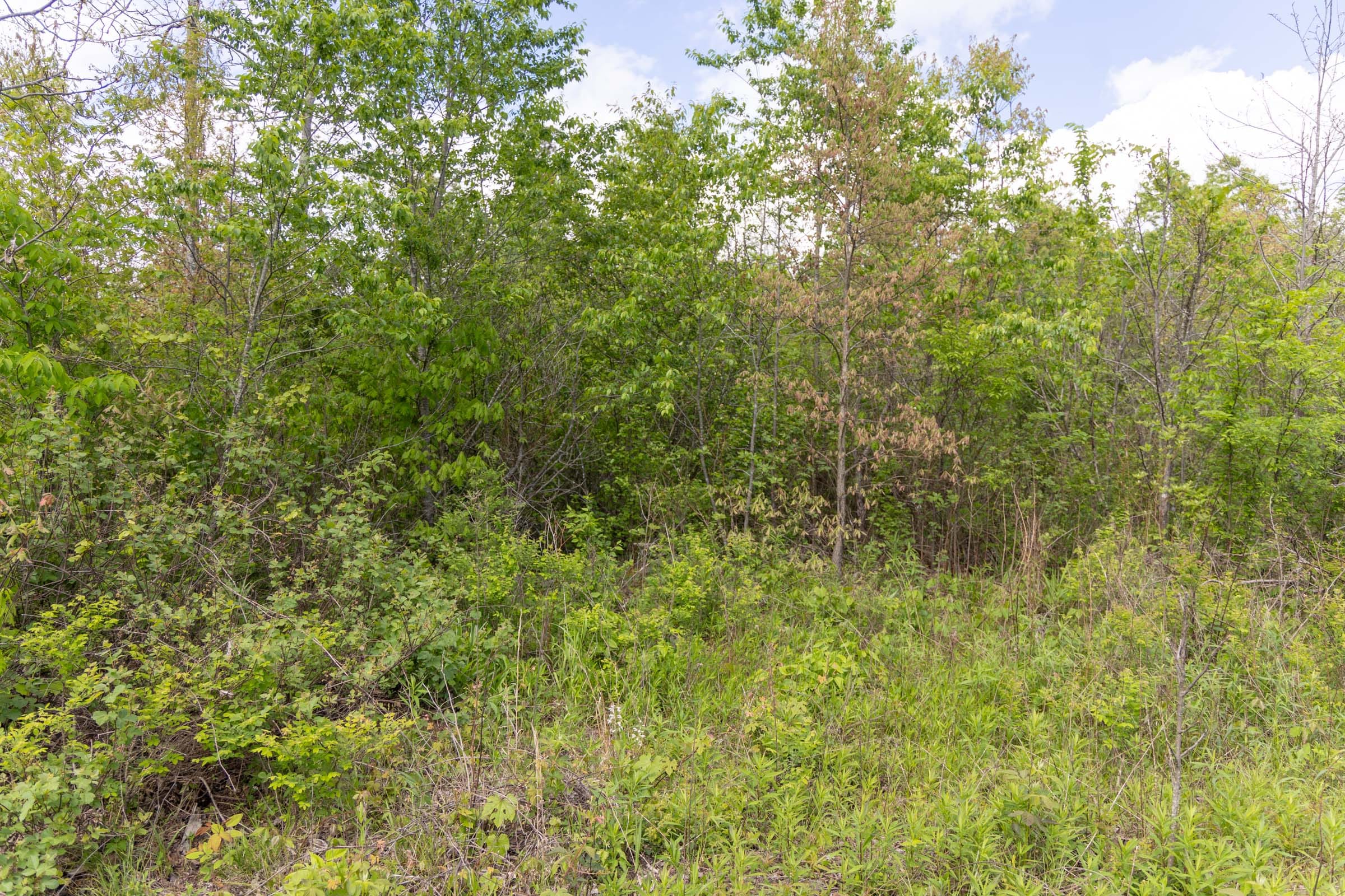 Sleepy Hollow Phase II Tract 106 photo 8