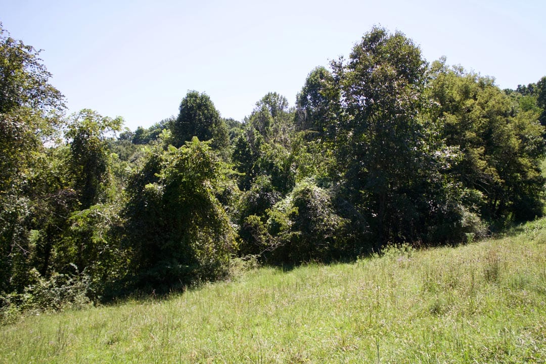 Heritage Hollow Tract 13 photo 3
