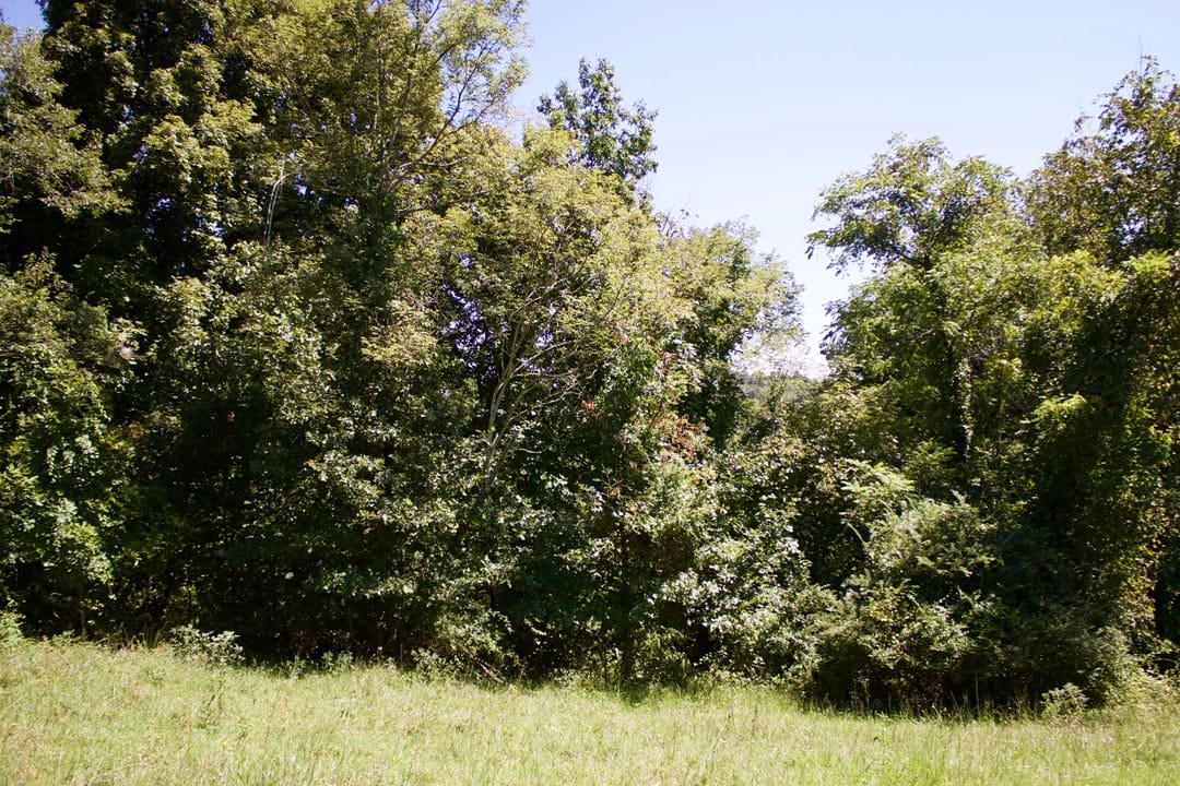 Heritage Hollow Tract 13 photo 4