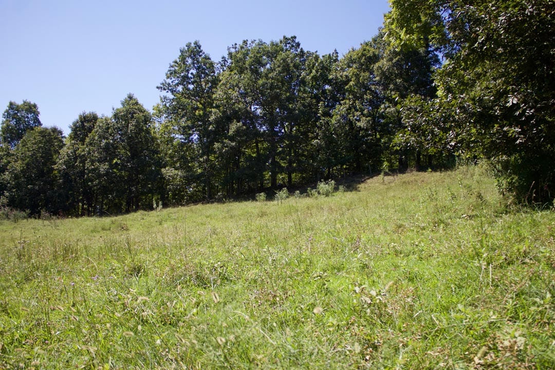Heritage Hollow Tract 13 photo 5