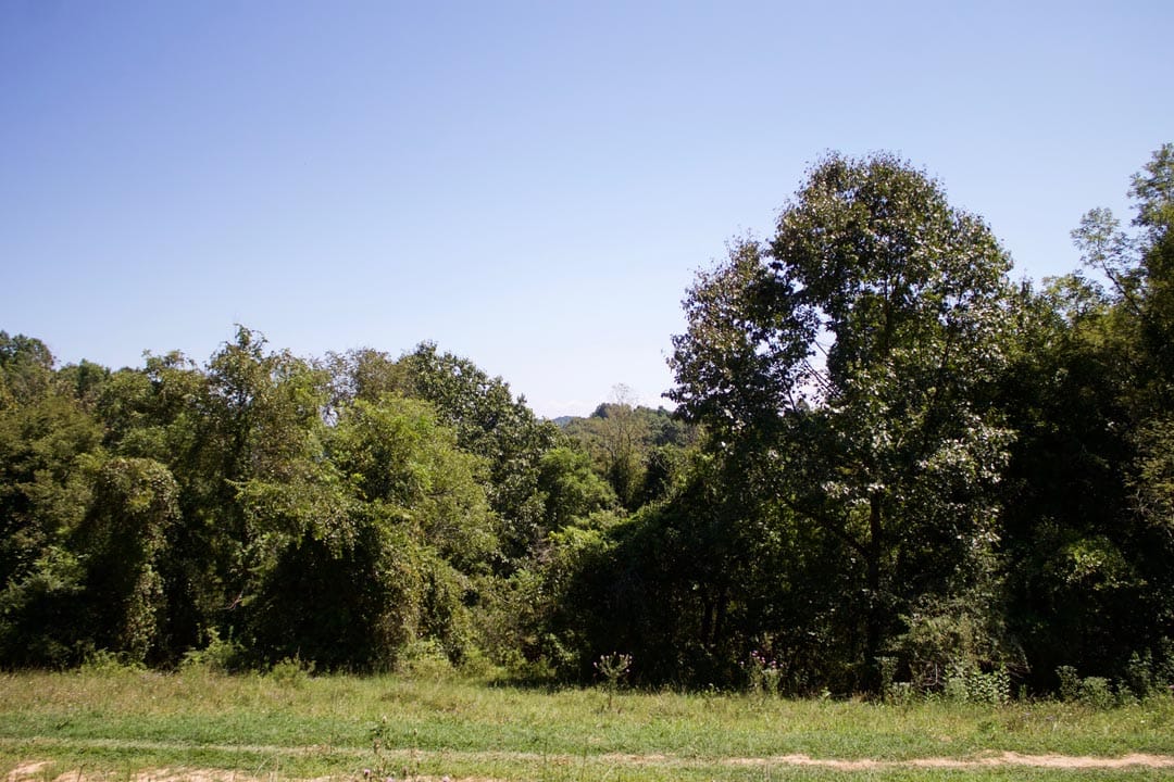 Heritage Hollow Tract 13 photo 6