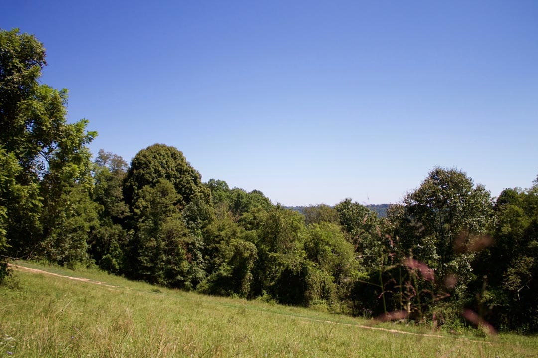 Heritage Hollow Tract 13 photo 7