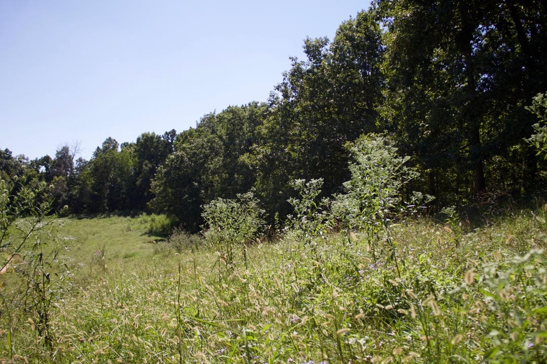 Heritage Hollow Tract 13 photo 8