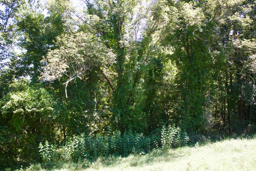 Heritage Hollow Tract 13 photo 9