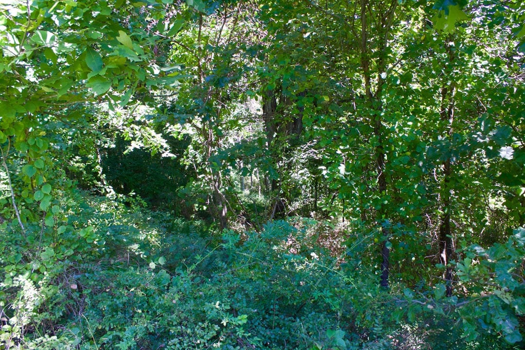 Heritage Hollow Tract 13 photo 12