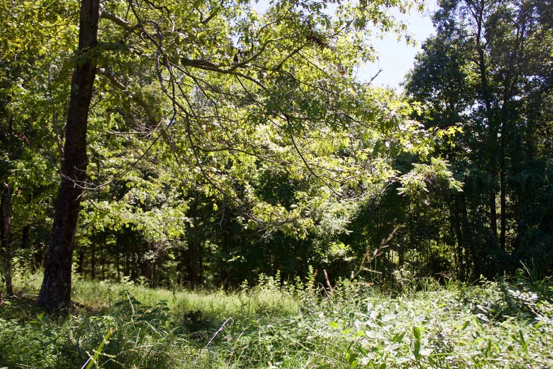 Heritage Hollow Tract 13 photo 15