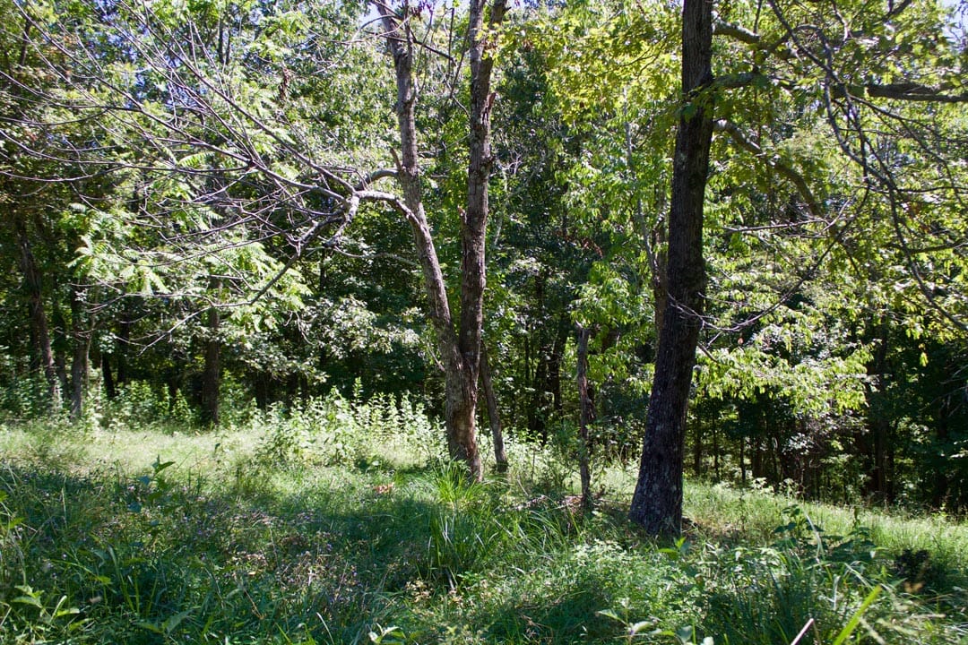 Heritage Hollow Tract 13 photo 16