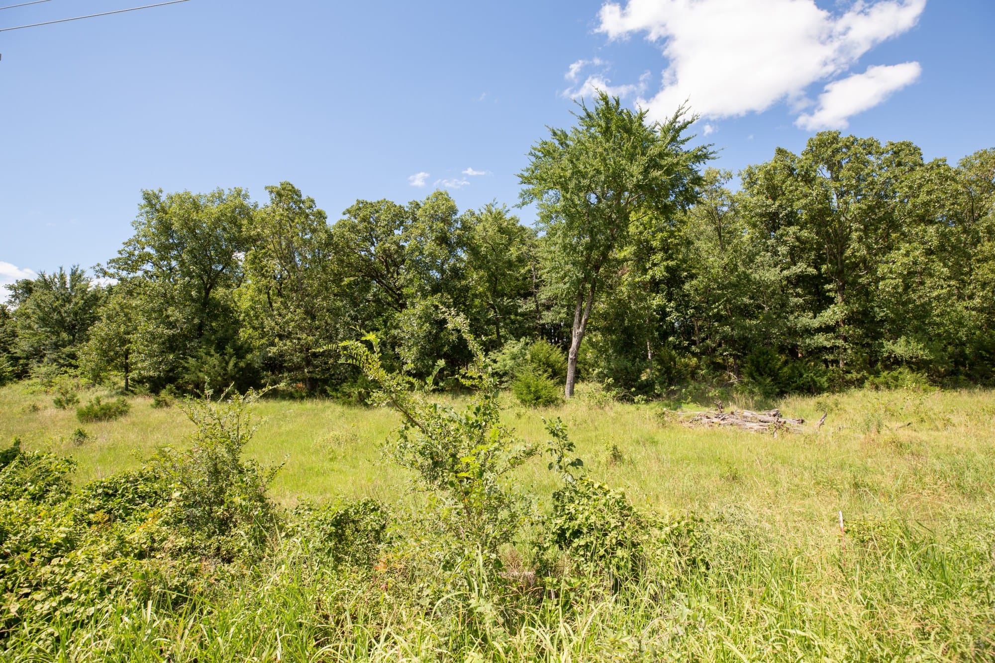 Paradise Valley Tract 21 photo 5