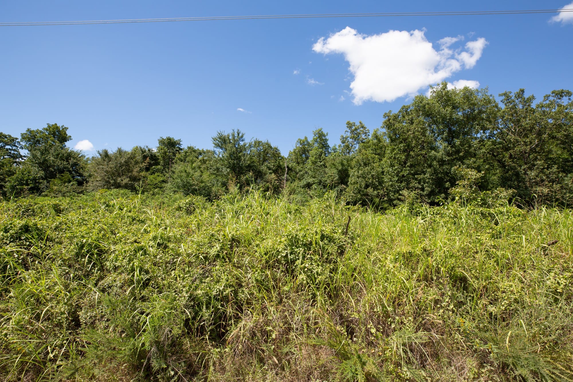 Paradise Valley Tract 21 photo 3