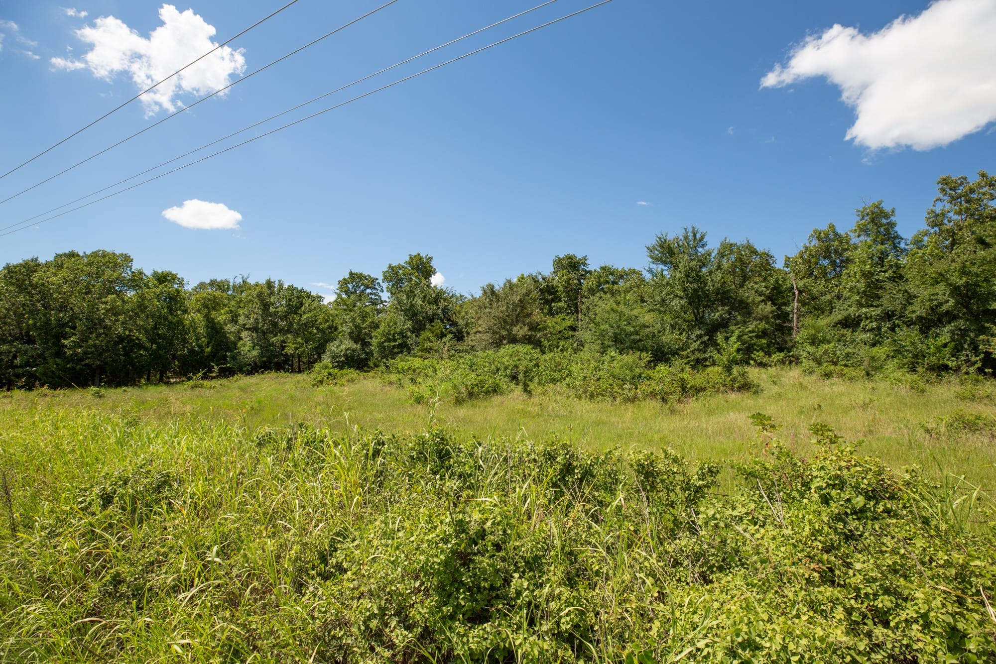Paradise Valley Tract 21 photo 8