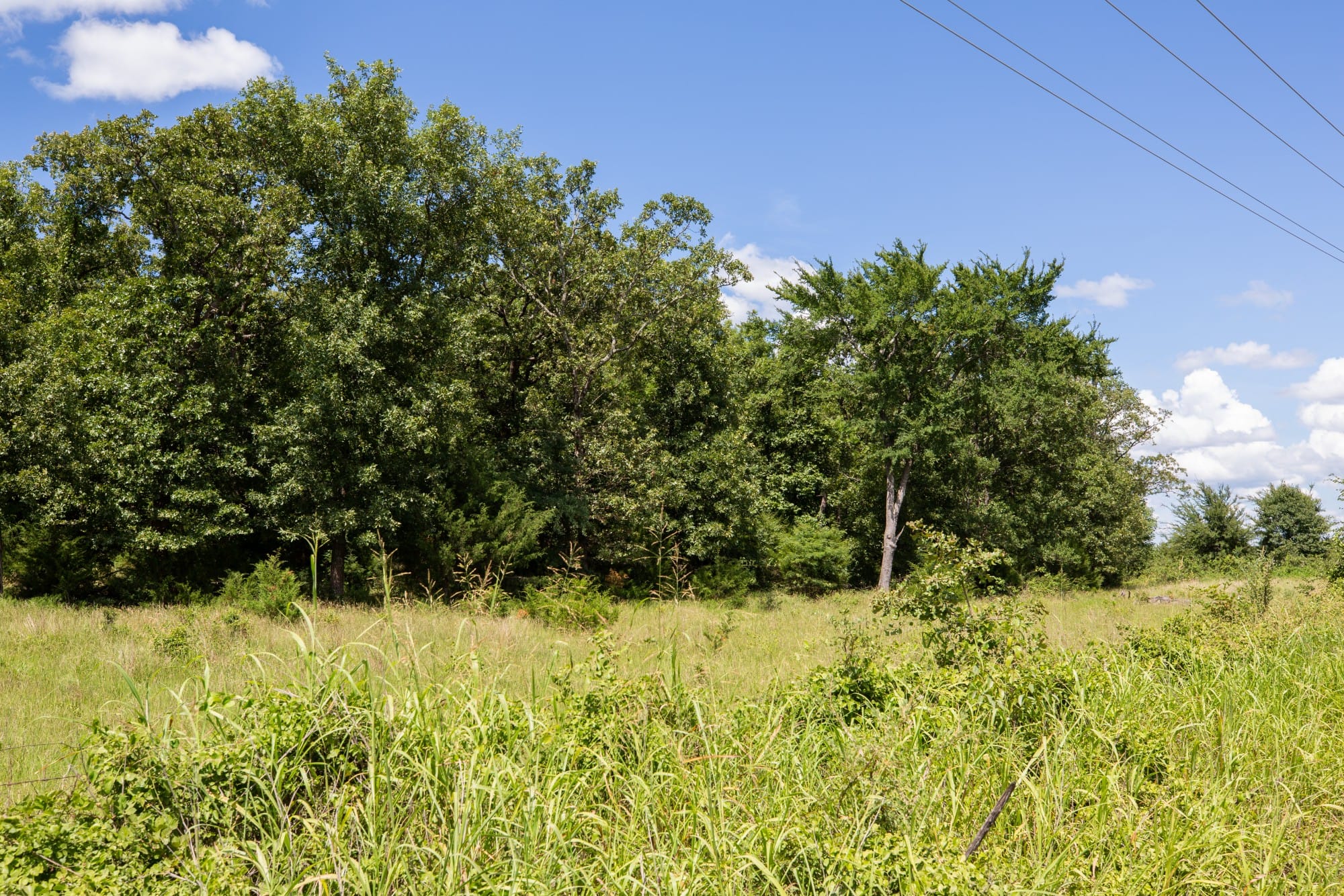 Paradise Valley Tract 21 photo 6