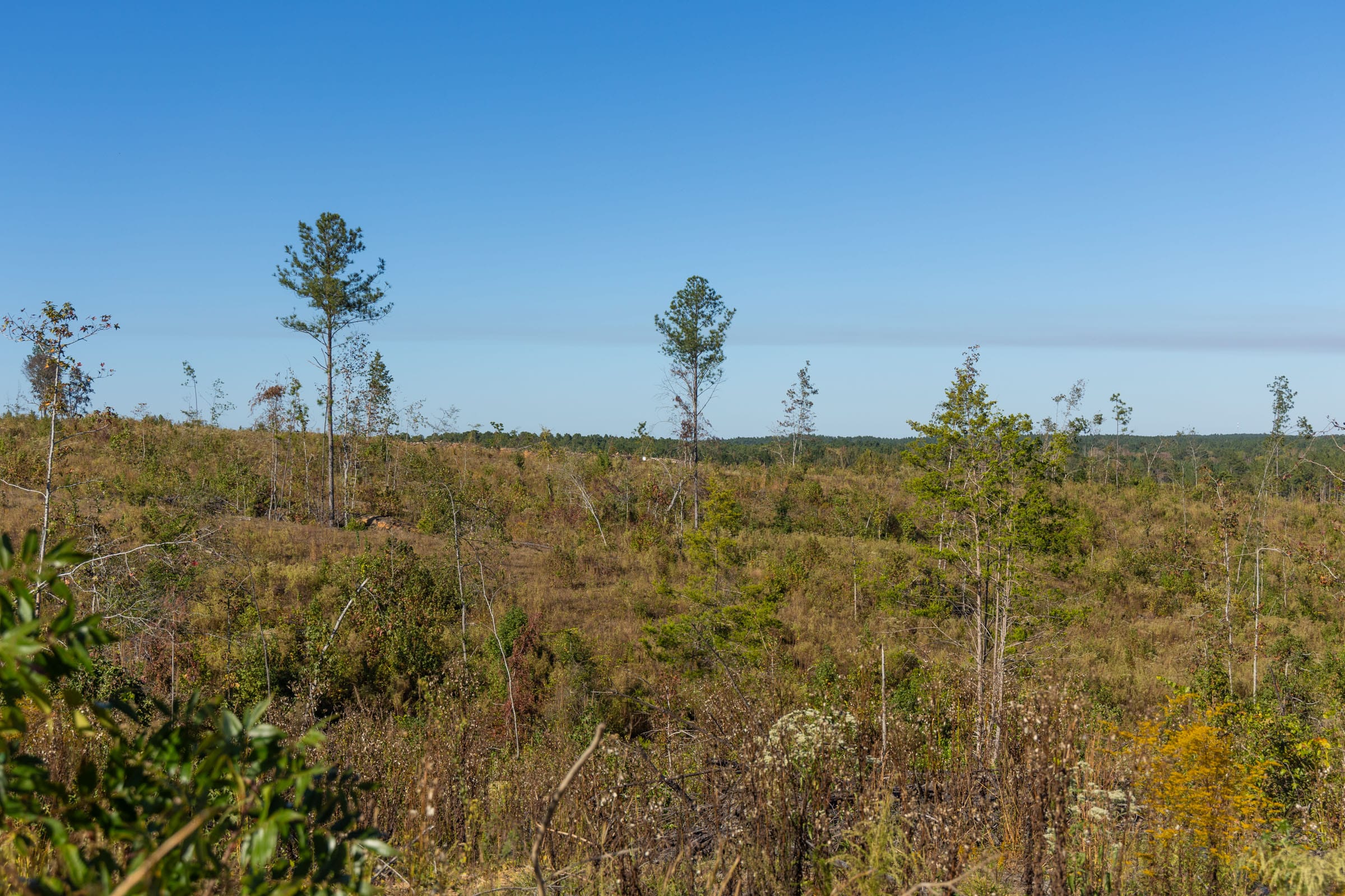Meyer’s Ridge Tract 33 photo 12