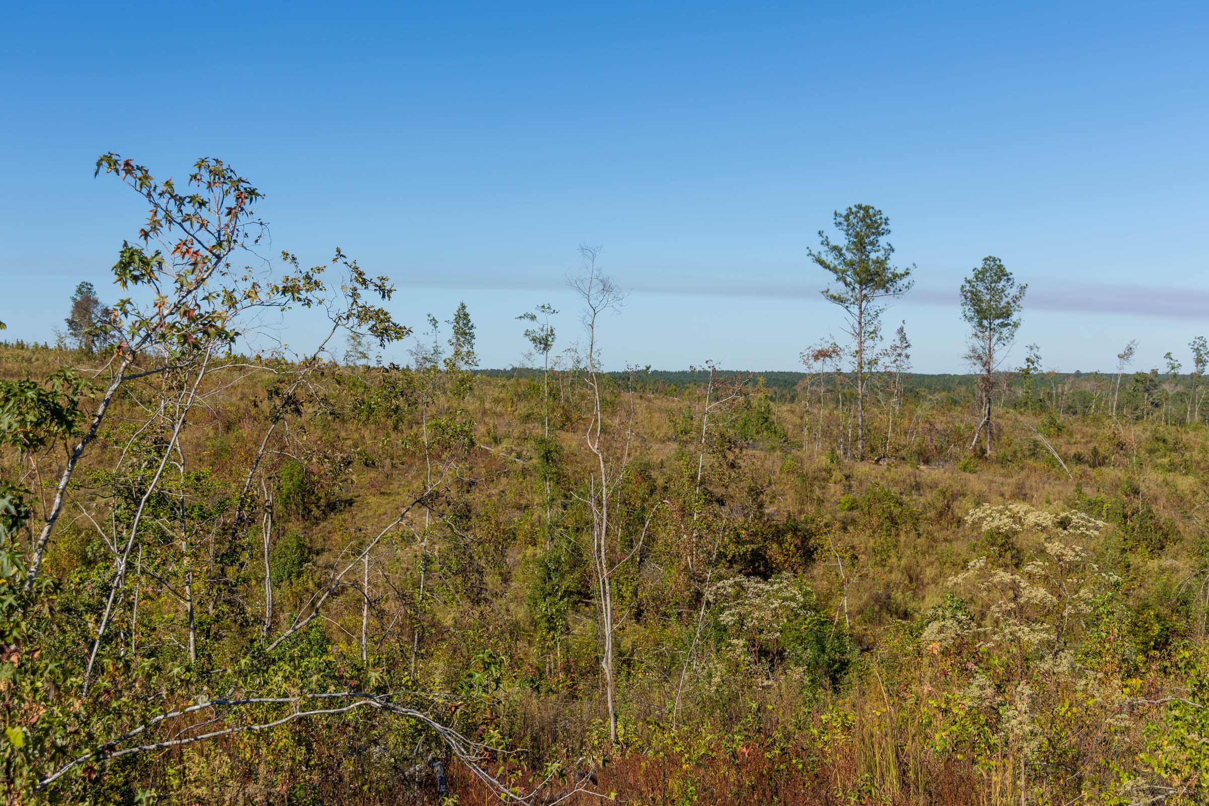 Meyer’s Ridge Tract 33 photo 10