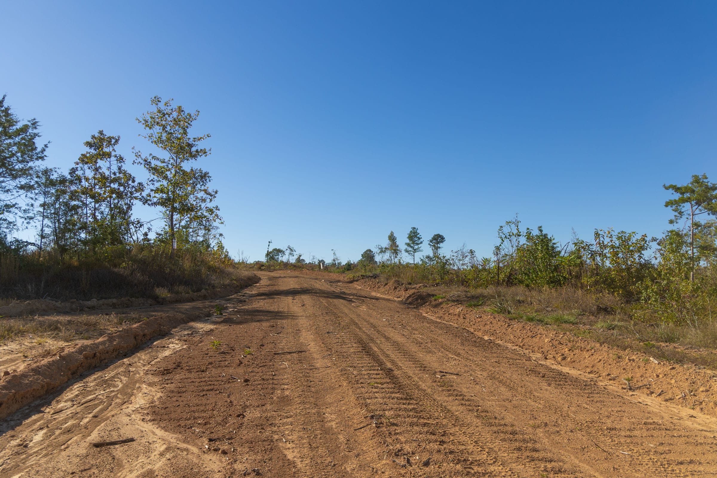 Meyer’s Ridge Tract 33 photo 11