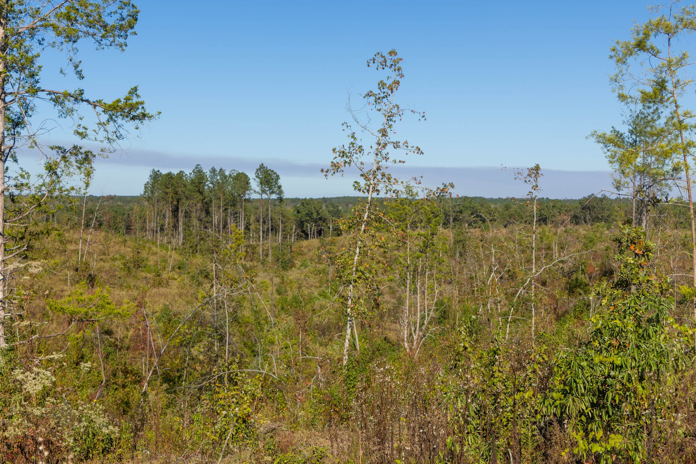 Meyer’s Ridge Tract 33 photo 9
