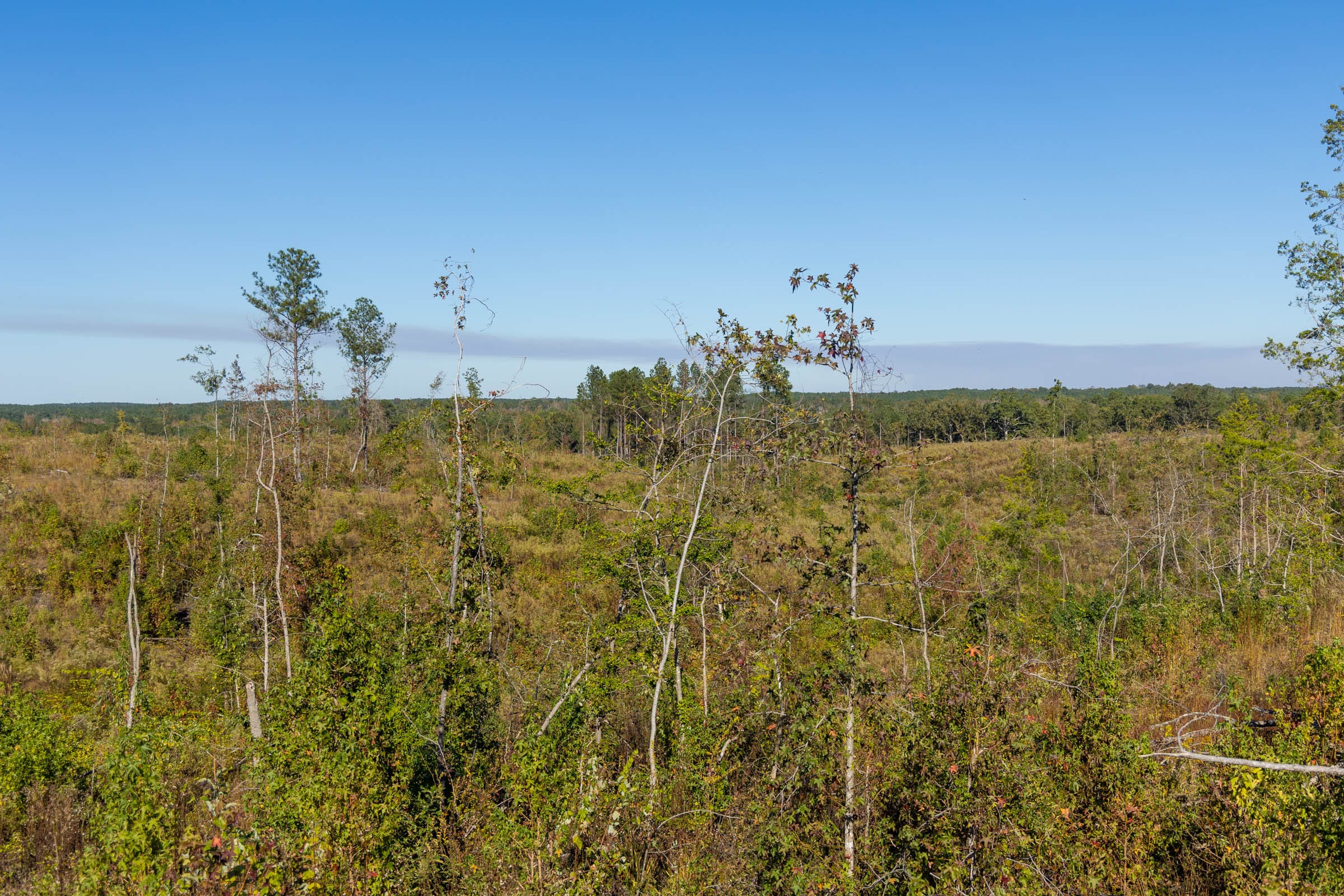 Meyer’s Ridge Tract 33 photo 8