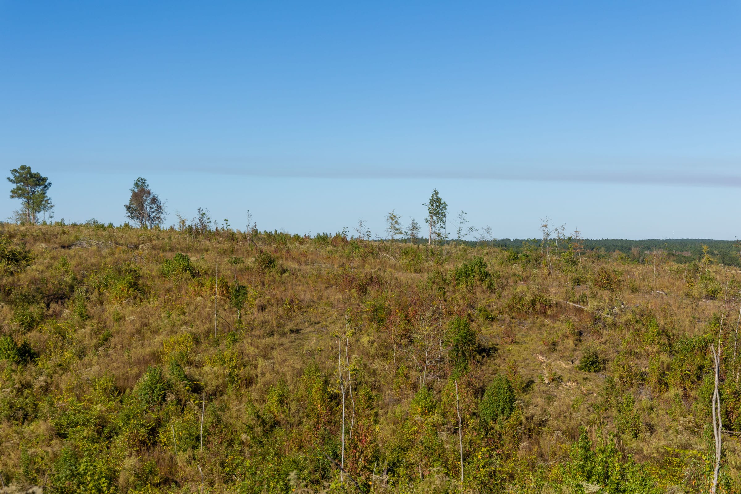 Meyer’s Ridge Tract 33 photo 6