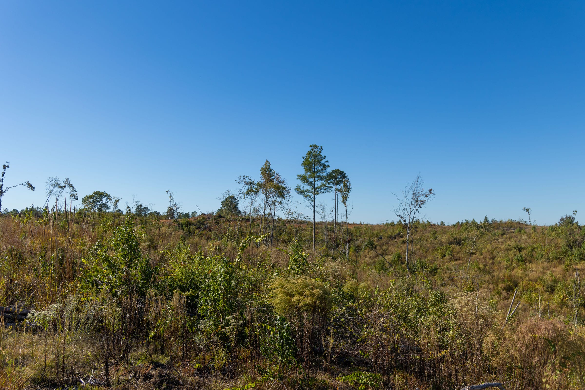 Meyer’s Ridge Tract 33 photo 5