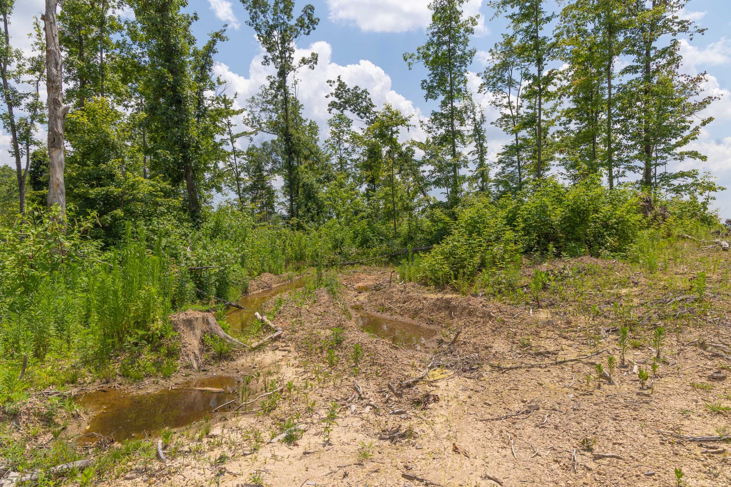 Creek Hollow Phase II Tract 72 photo 11