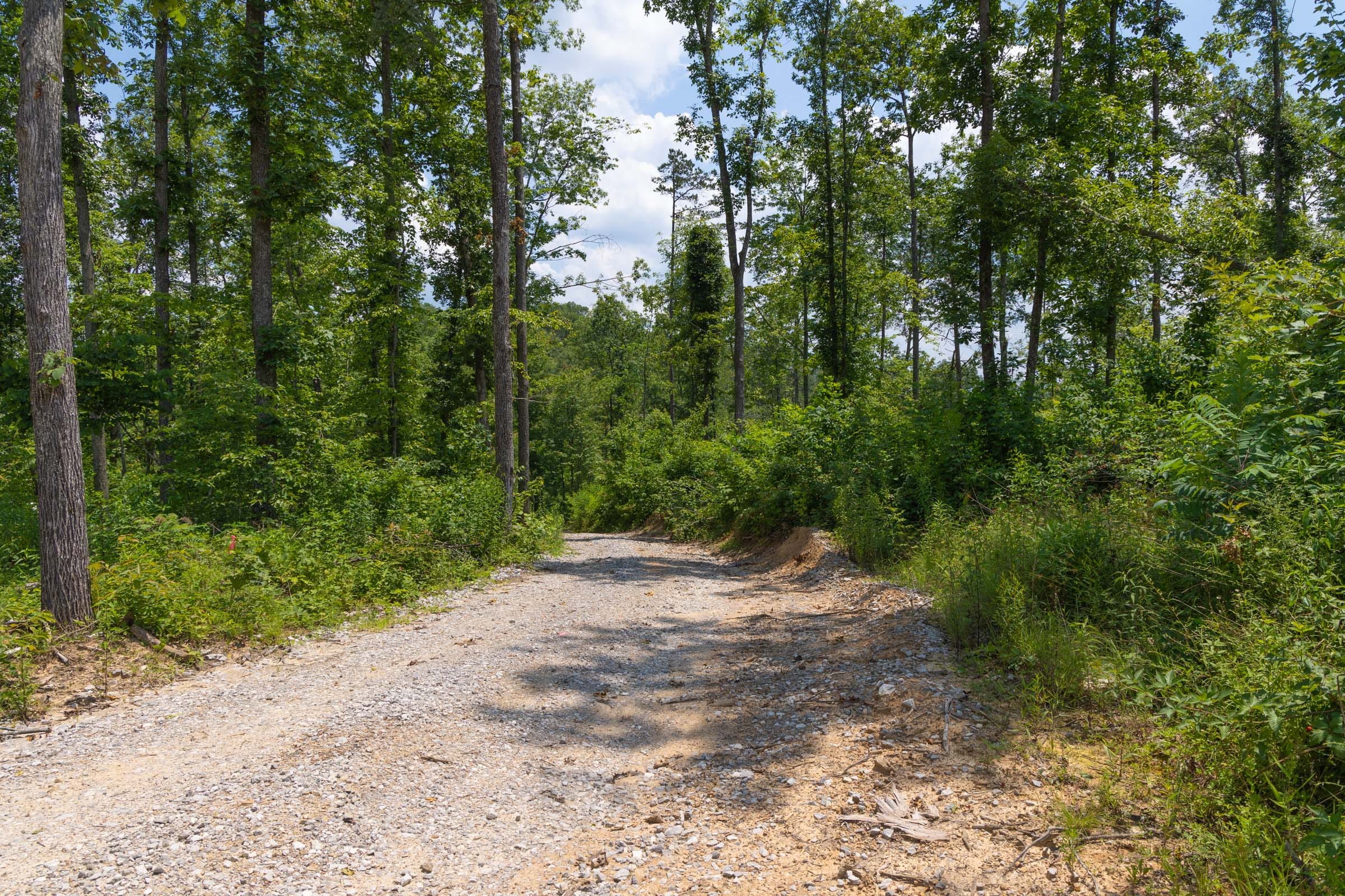 Creek Hollow Phase II Tract 72 photo 10