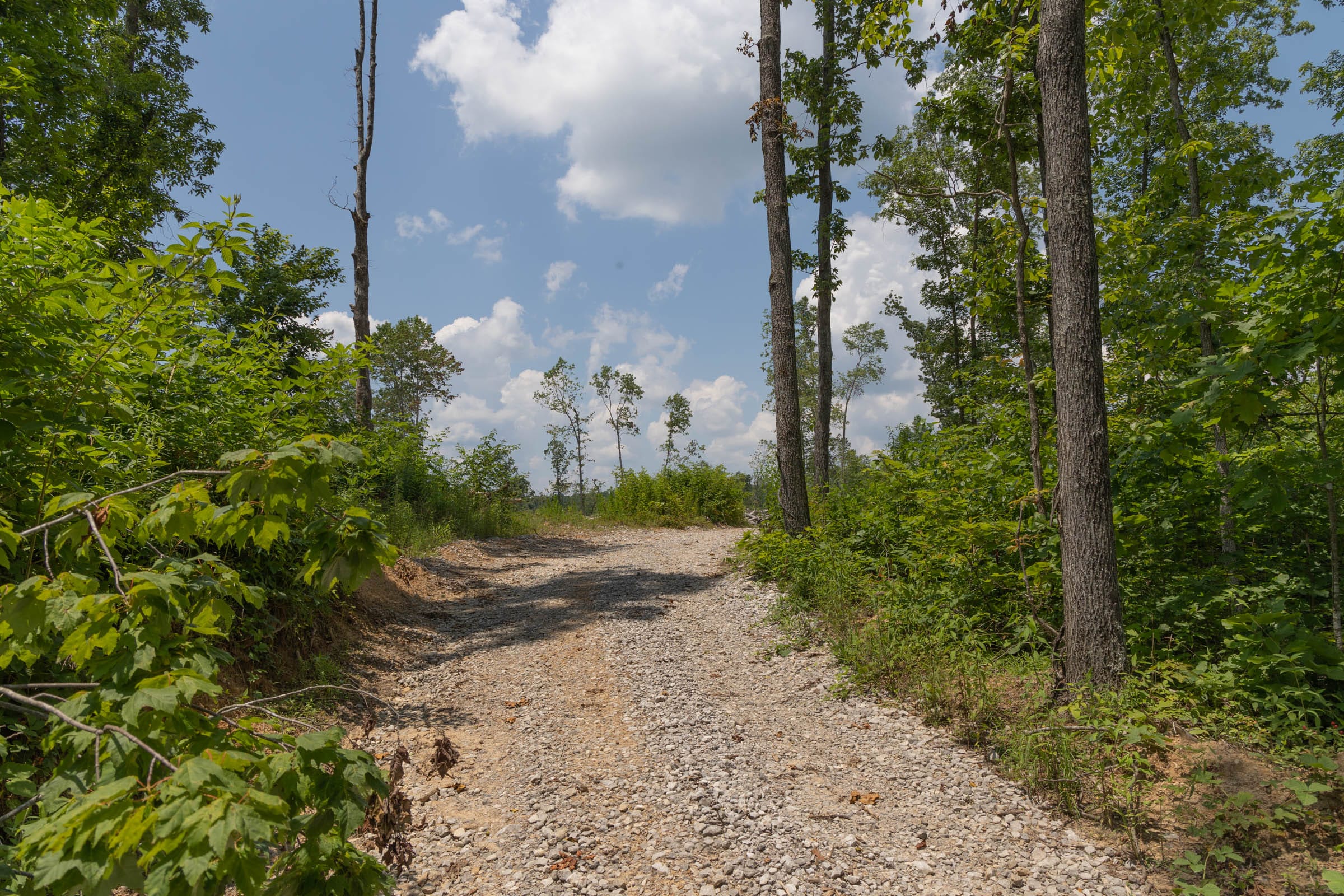 Creek Hollow Phase II Tract 72 photo 5
