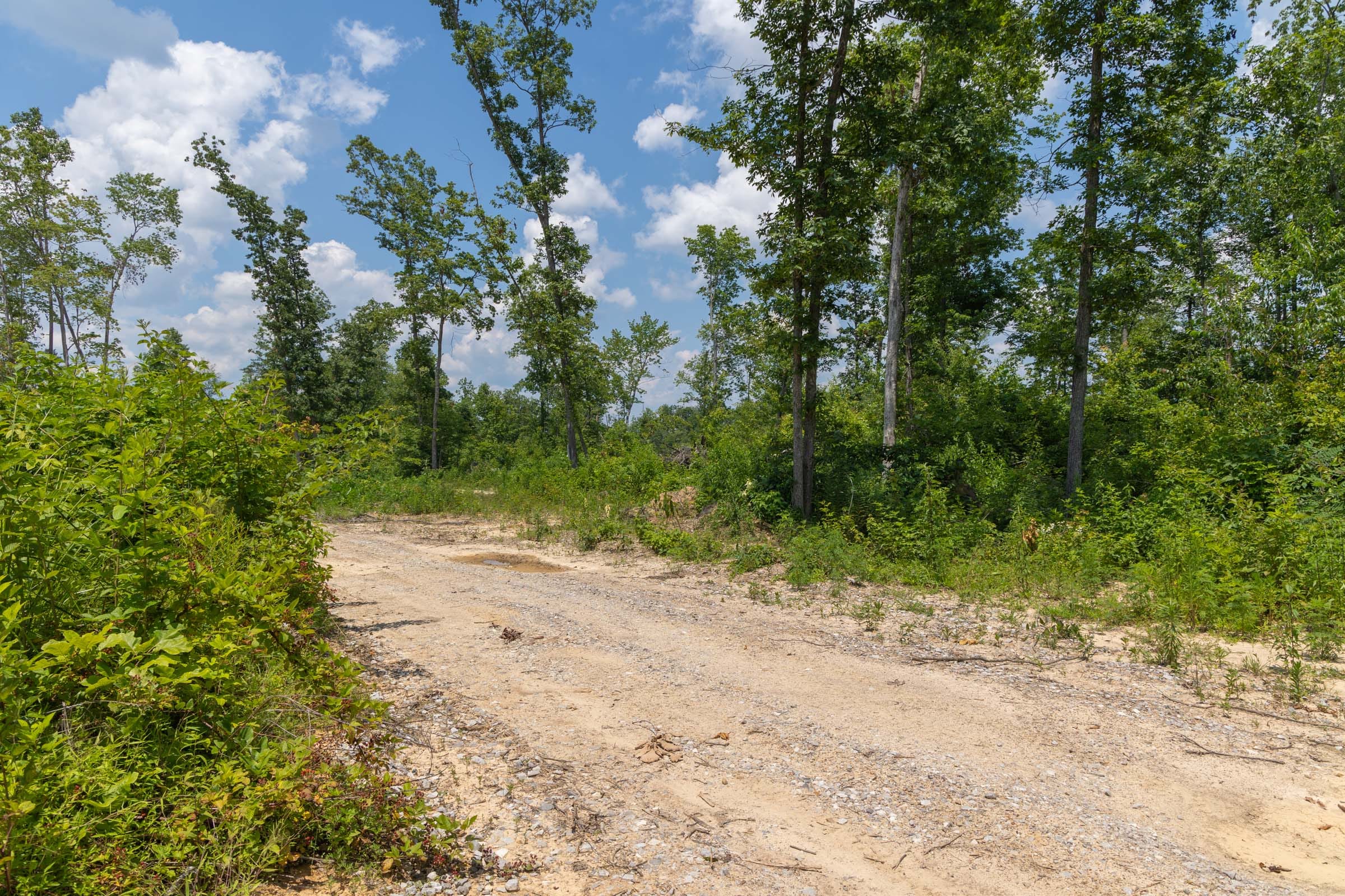 Creek Hollow Phase II Tract 72 photo 4