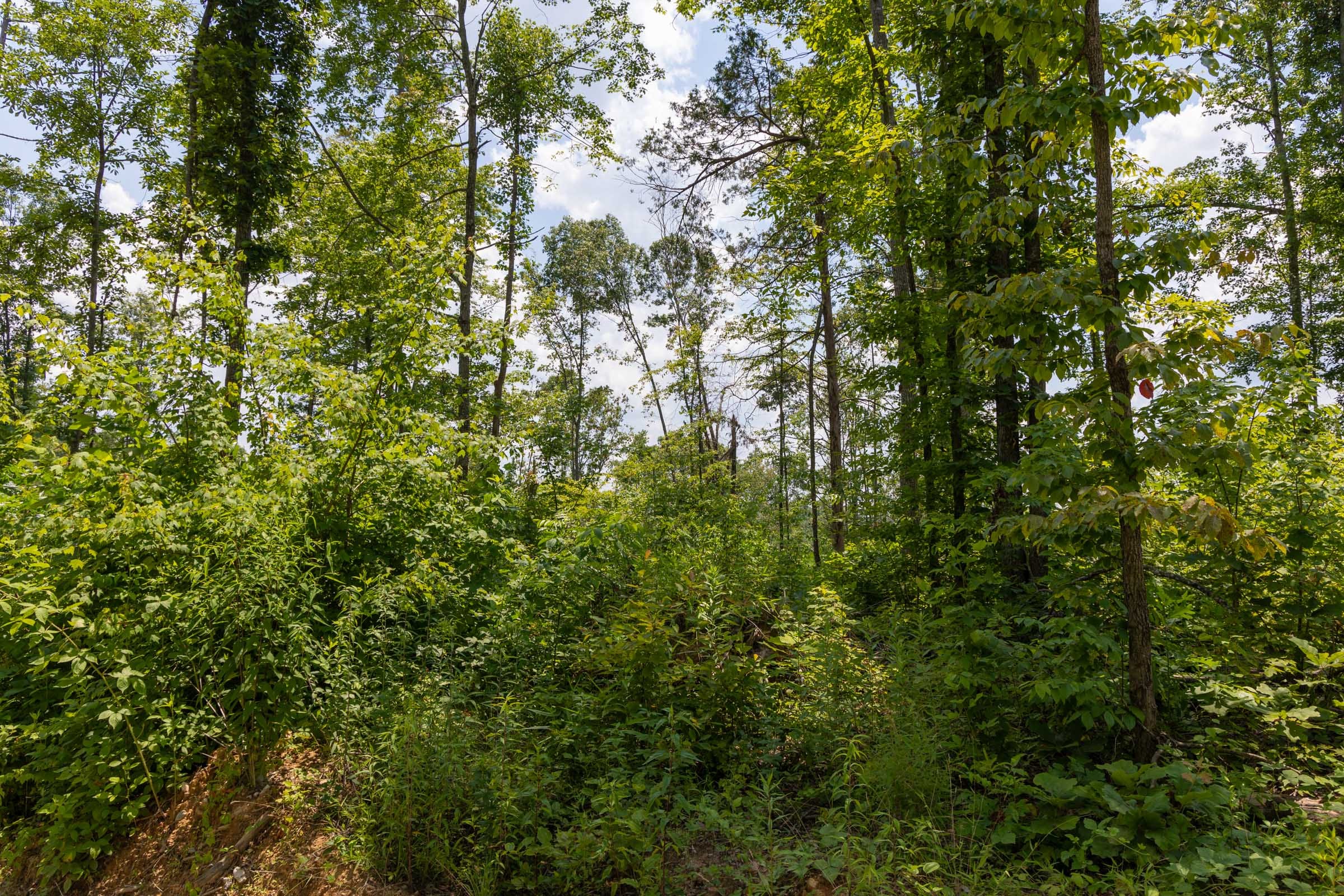 Creek Hollow Phase II Tract 72 photo 2