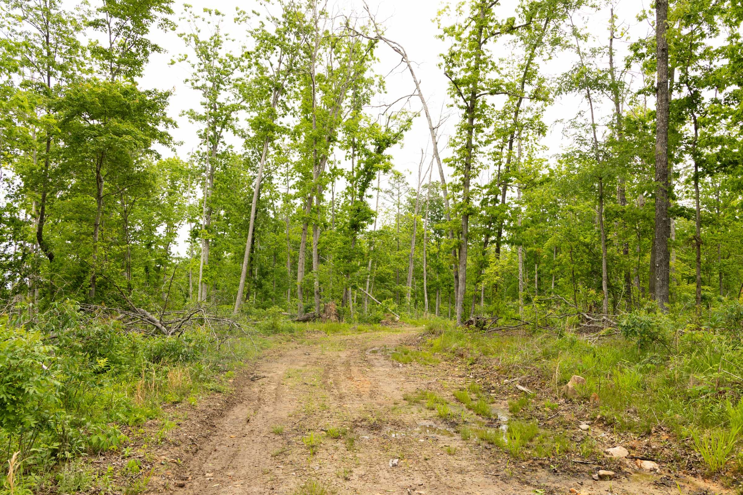 Stardust Estates Tract 17 photo 9