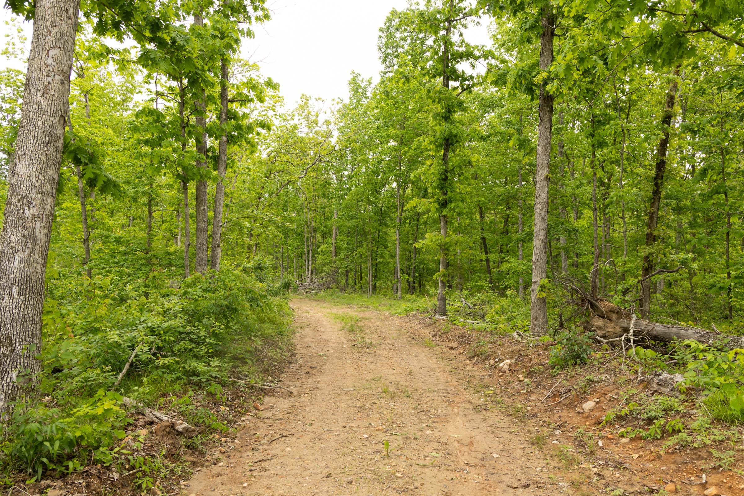 Stardust Estates Tract 17 photo 8