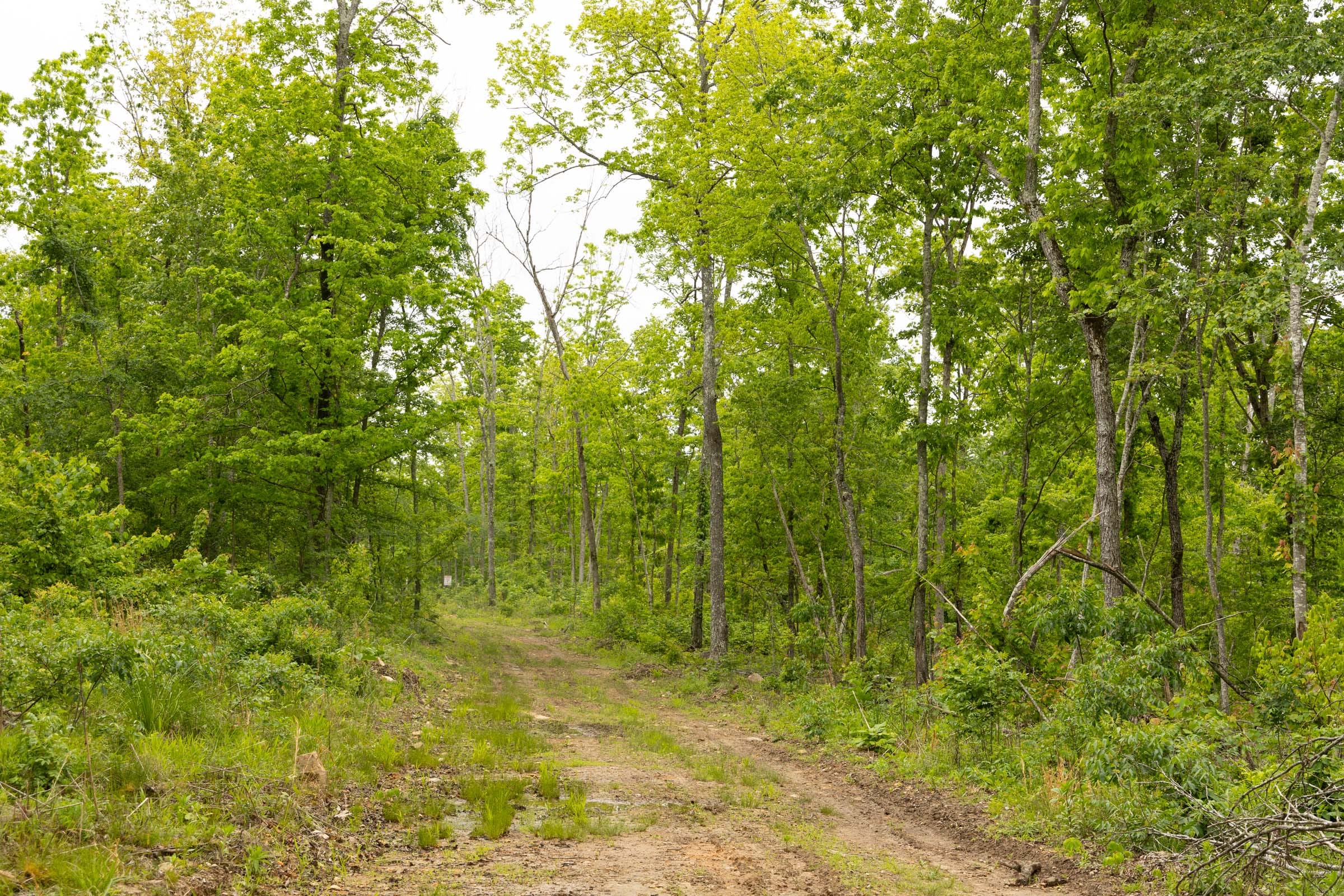 Stardust Estates Tract 17 photo 2