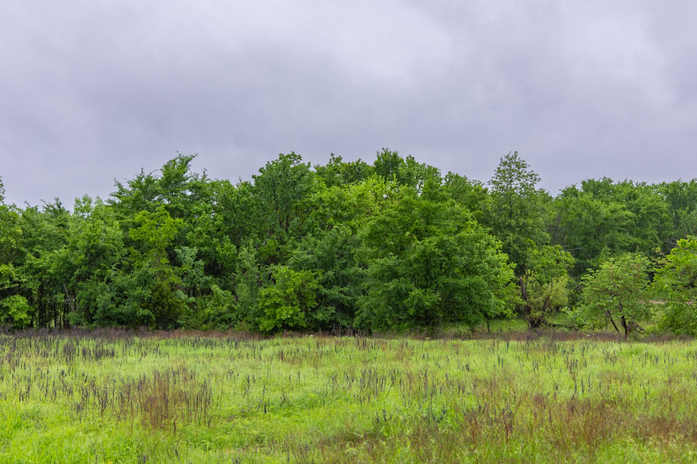 Harmony Hills Tract 25 photo 4