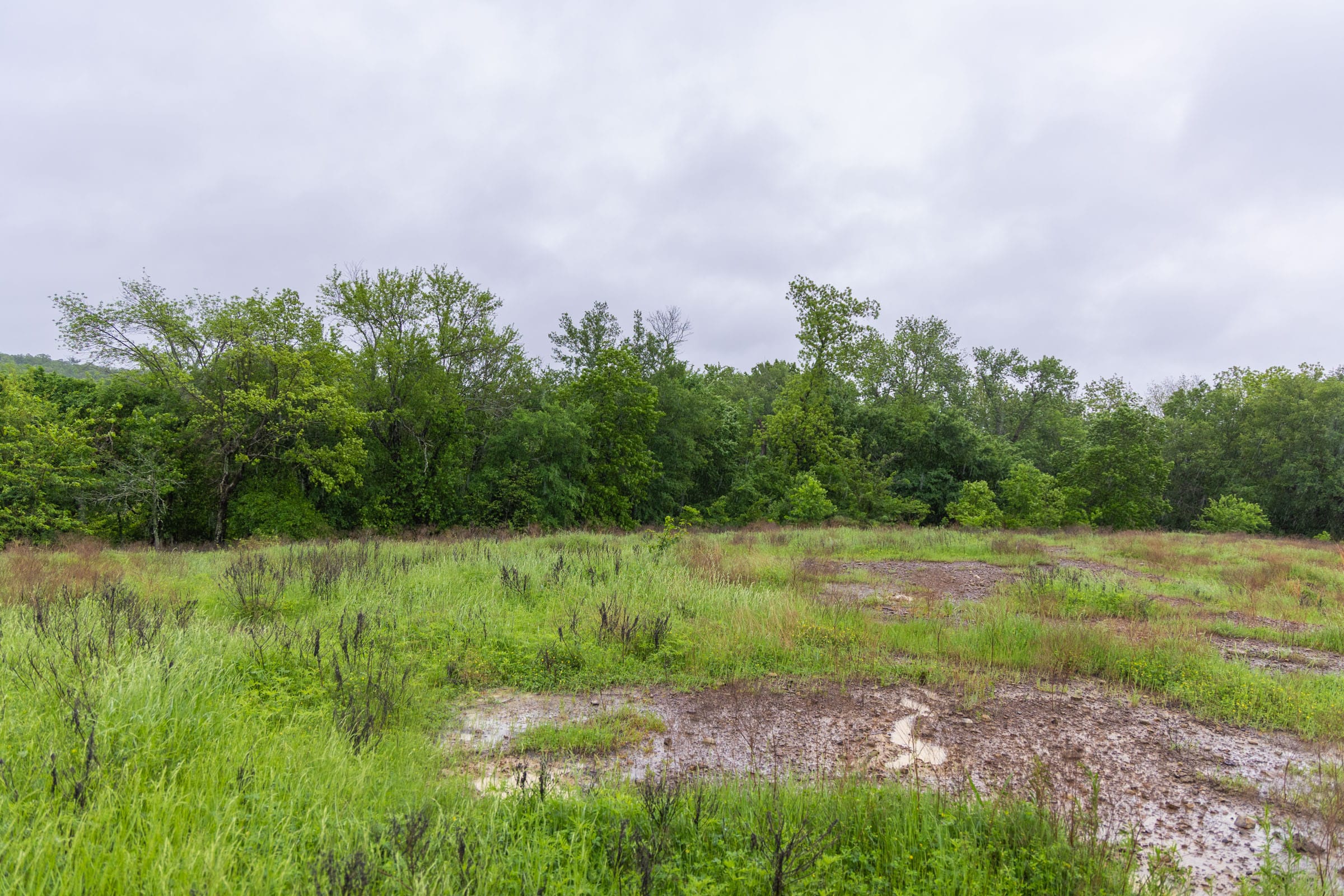 Harmony Hills Tract 25 photo 7