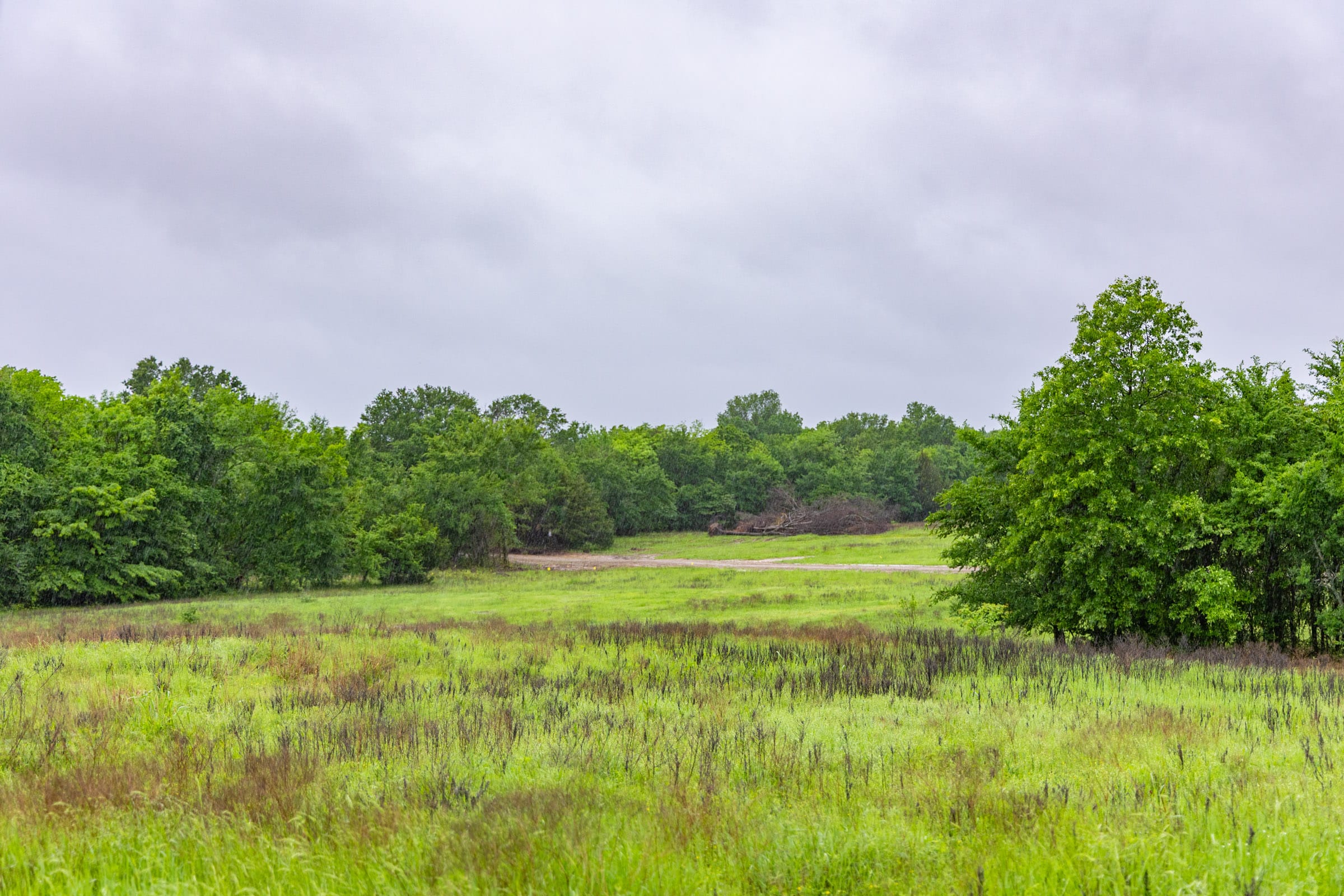 Harmony Hills Tract 25 photo 6