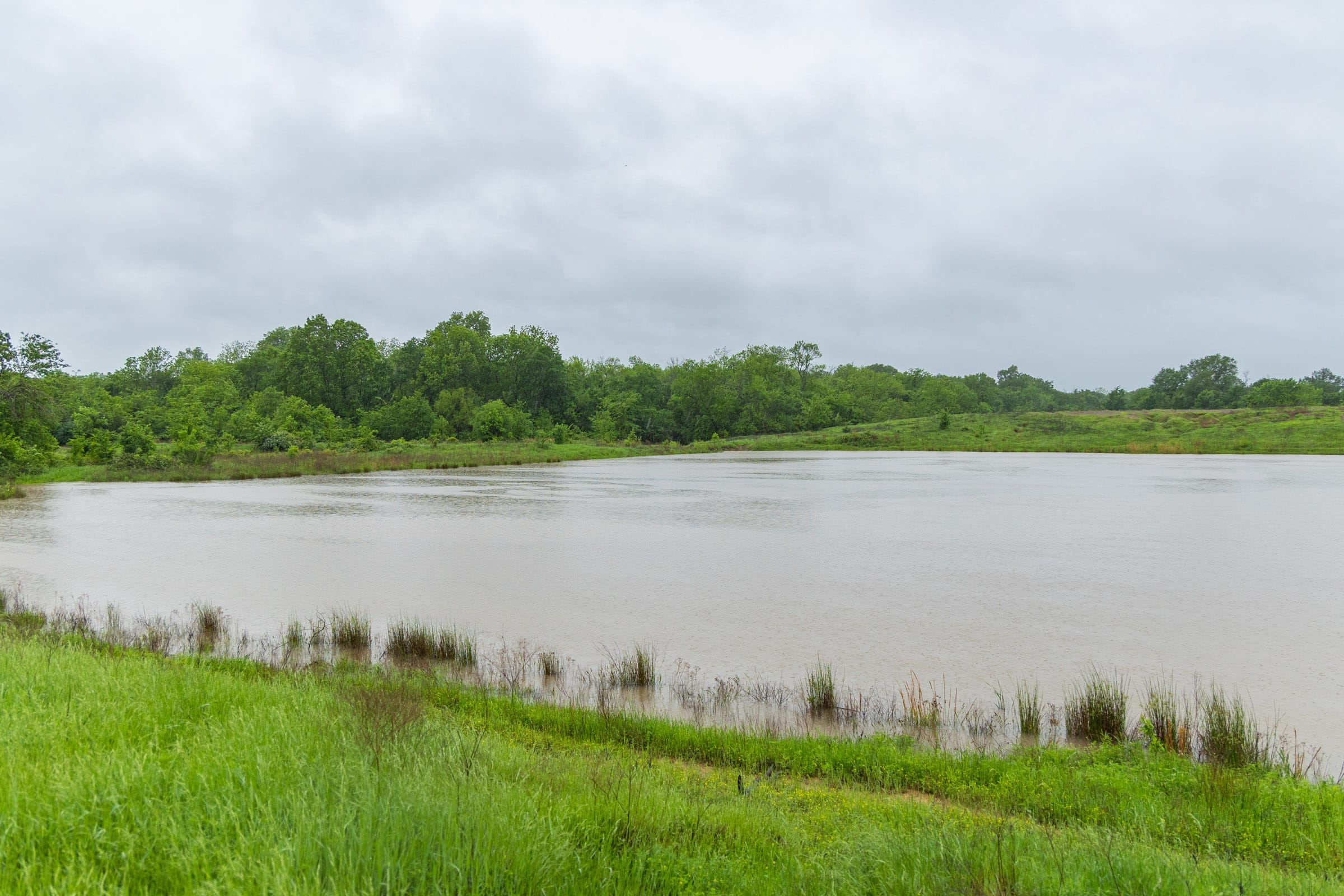 Harmony Hills Tract 25 photo 5