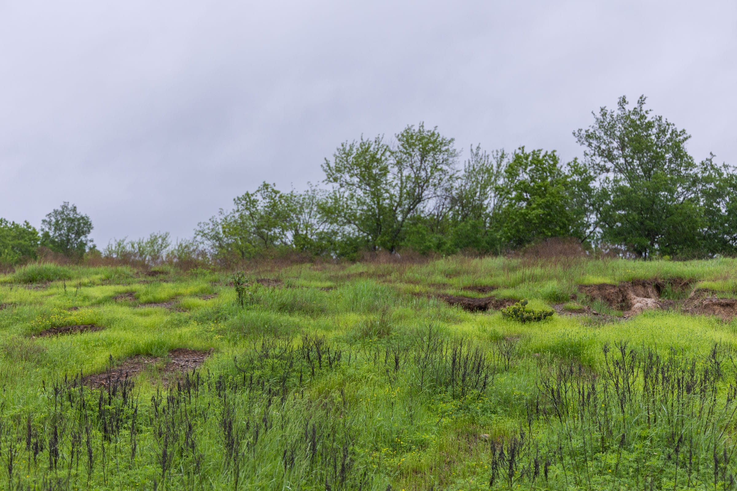 Harmony Hills Tract 25 photo 10