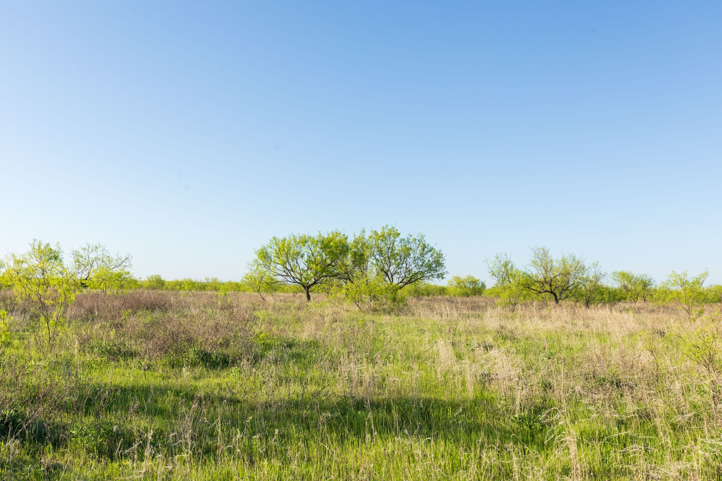 Hackberry Fields Tract 15 photo 9