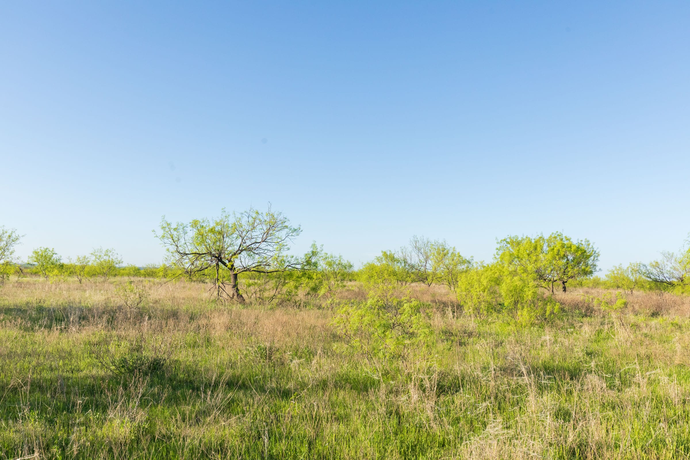 Hackberry Fields Tract 15 photo 11