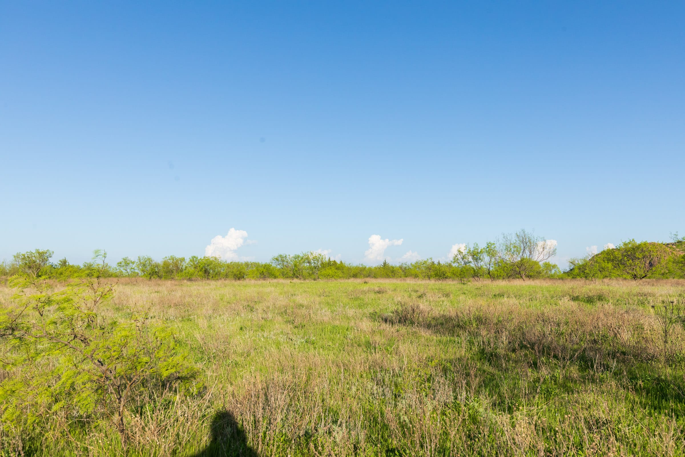 Hackberry Fields Tract 15 photo 13