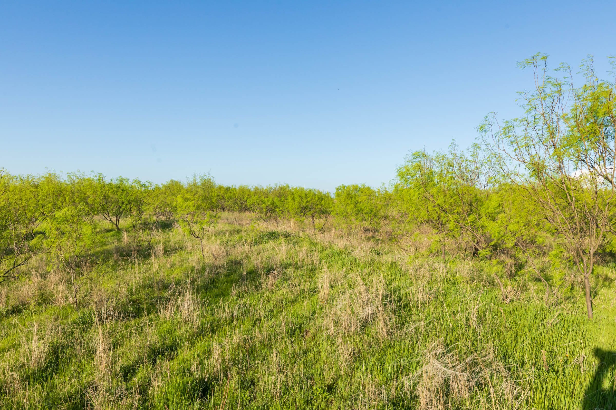 Hackberry Fields Tract 15 photo 16